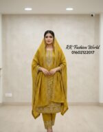 ✨ Bichitra Gorgeous Dress Alert! ✨